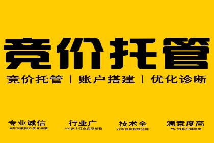 SEM竞价托管实战案例解析